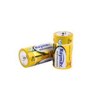 D2 LR20 AM1 C 1.5V