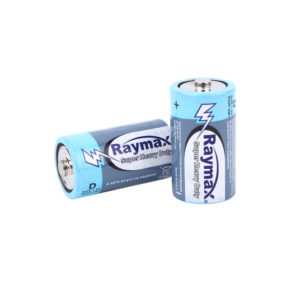 D2 R20P UM1 D 1.5V